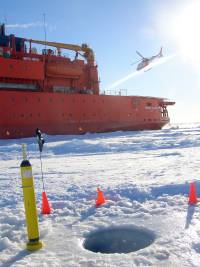 Foto: Guy Williams, Antarctic Climate and Ecosystem Cooperative Research Centre