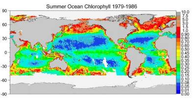 Foto: Watson W. Gregg (NASA) and Margarita E. Conkright (NOAA)