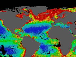 Foto: NASA/Goddard Space Flight Center, The SeaWiFs Project and ORBIMAGE, Scientific Visualization Studio